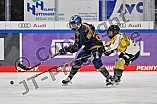 Eishockey, Frauen, DFEL, Saison 2022-2023, ERC Ingolstadt - Mad Dogs Mannheim, 19.11.2022