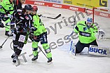 Eishockey, Herren, DEL, Saison 2020-2021, Straubing Tigers - ERC Ingolstadt, 31.01.2021