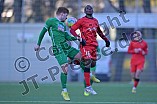 Fußball, Herren, Bayernliga Nord, Saison 2023-2024, Vorbereitung, VfB Eichstätt - ASV Neumarkt, 20.01.2024