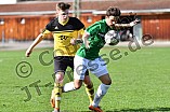 25.03.2017 - VfB Eichstätt - VfL Frohnlach