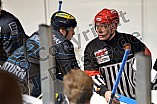 ERC Ingolstadt vs Schwenninger Wild Wings, Eishockey, DEL, Deutsche Eishockey Liga, 22.01.2016