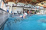 21.03.2015 - ERC Ingolstadt - Iserlohn Roosters