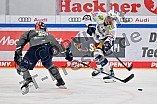 Eishockey, Herren, DEL, Saison 2023-2024, Spieltag 33, ERC Ingolstadt - Eisbären Berlin, 30.12.2023