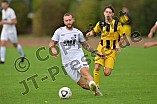 Fußball, Herren, Bezirksliga Oberbayern Nord, Saison 2023-2024, Spieltag 12, TSV Gaimersheim - SE Freising, 08.10.2023