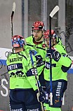 Eishockey, Herren, DEL, Saison 2020-2021, ERC Ingolstadt - Straubing Tigers, 10.02.2021