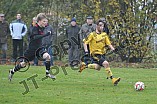 09.11.2014 - DJK Pollenfeld - SG Forchheim-Sulzkirchen