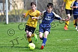 01.04.2017 - DJK Pollenfeld - SV Marienstein