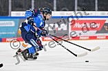 Eishockey, Nachwuchs, U17, DEB, Saison 2024-2025, ERC Ingolstadt - EV Füssen, 15.02.2025