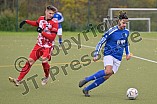 Fußball, Herren, Kreisklasse 1, Saison 2022-2023, Spieltag 16, TSV Ingolstadt-Nord - SV Stammham, 20.11.2022