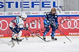 Eishockey, Frauen, DFEL, Saison 2024-2025, ERC Ingolstadt - Eisbären Berlin, 15.02.2025