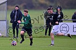 Fußball, Herren, Bezirksliga Mittelfranken Süd, Saison 2025-2026, Spieltag 19, TSV Greding - DJK Göggelsbuch, 09.11.2025