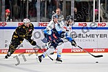 Eishockey, Herren, DEL, Saison 2024-2025, Playoffs Viertelfinale, Spiel 1, Nürnberg Ice Tigers - ERC Ingolstadt, 18.03.2025