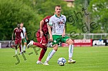 Fußball, Herren, Saison 2026-2027, Testspiel, VfB Eichstätt - AlWhada SC, 18.07.2026