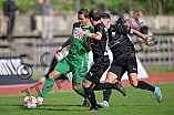 Fußball, Herren, Bayernliga Nord, Saison 2023-2024, Spieltag 13, VfB Eichstätt - SV Fortuna Regensburg, 23.09.2023