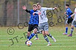 Fußball, Herren, Kreisliga Neumarkt Jura West, Saison 2023-2024, Spieltag 14, SV Marienstein - SV Cronheim, 12.11.2023