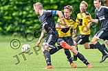 10.06.2018 - DJK Pollenfeld - SG-SpVgg Wellheim-Konstein