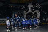 ERC Ingolstadt vs Straubing Tigers, Eishockey, DEL, Deutsche Eishockey Liga, 22.12.2015