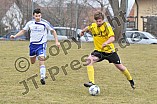 13.03.2011 - DJK Pollenfeld / SpVgg Wellheim-Konstein