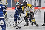 Eishockey, Frauen, DFEL, Saison 2021-2022, ERC Ingolstadt - Mad Dogs Mannheim, 23.10.2021