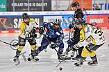 Eishockey, Frauen, DFEL, Saison 2021-2022, ERC Ingolstadt - Mad Dogs Mannheim, 24.10.2021