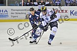 Straubing Tigers vs ERC Ingolstadt, Eishockey, DEL, Deutsche Eishockey Liga, Spieltag 28, 18.12.2016