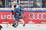 Eishockey, Herren, DEL, Saison 2023-2024, Spieltag 38, ERC Ingolstadt - Adler Mannheim, 14.01.2024