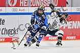 Eishockey, Frauen, DFEL, Saison 2023-2024, ERC Ingolstadt - Amsterdam Tigers, 06.01.2024