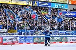 Eishockey, Herren, DEL, Saison 2024-2025, Spieltag 38, ERC Ingolstadt - Nürnberg Ice Tigers, 19.01.2025