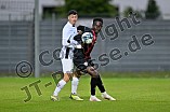 Fußball, Herren, Bayernliga Nord, Saison 2024-2025, Spieltag 31, FC Ingolstadt 04 II - ATSV Erlangen, 25.04.2025