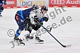 Eishockey, Herren, DEL, Saison 2024-2025, Spieltag 42, ERC Ingolstadt - Kölner Haie, 31.01.2025