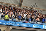 14.04.2015 - Adler Mannheim - ERC Ingolstadt