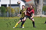 20.04.2019 - DJK Pollenfeld II - FV Obereichstätt