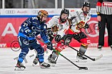 Eishockey, Frauen, DFEL, Saison 2024-2025, ERC Ingolstadt - EC Bergkamener Bären, 05.01.2025