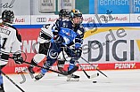Eishockey, Frauen, DFEL, Saison 2023-2024, ERC Ingolstadt - Amsterdam Tigers, 06.01.2024