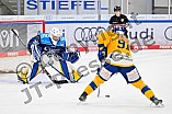 Eishockey, Frauen, DFEL, Saison 2025-2026, Testspiel, ERC Ingolstadt - HC Davos, 14.02.2026