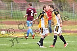 15.04.2017 - DJK Dollnstein - SpVgg Kattenhochstatt