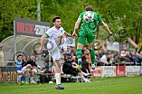 Fußball, Herren, Bayernliga Nord, Saison 2024-2025, Spieltag 31, VfB Eichstätt - TSV Neudrossenfeld, 26.04.2025