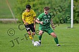 Fußball, Herren, Kreisliga 1, Saison 2023-2024, Spieltag 5, SV Lippertshofen - FC Hitzhofen-Oberzell, 03.09.2023