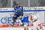 Eishockey, Frauen, DFEL, Saison 2023-2024, ERC Ingolstadt - ESC Planegg-Würmtal, 26.11.2023