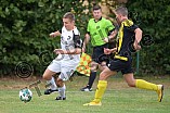 01.09.2018 - DJK Pollnfeld - TSV Röttenbach