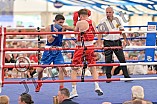 Boxen, Herren, Boxvergleichskampf, BC Eichstätt - Poruba Ostrava, 01.09.2024