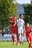 22.08.2017 - TSV 1860 Weißenburg - VfB Eichstätt