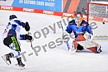 04.12.2020 - ERC Ingolstadt - Straubing Tigers