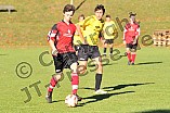03.11.2012 - SG FC Hitzhofen-Oberzell / SG SpVgg Wolfsbuch