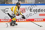 Eishockey, Frauen, DFEL, Saison 2022-2023, ERC Ingolstadt - Mad Dogs Mannheim, 20.11.2022