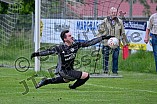 Fußball, Herren, Kreisklasse Neumarkt Jura Süd, Saison 2023-2024, Spieltag 25, DJK Pollenfeld - SG DJK Burggriesbach-Obermässing, 05.06.2024