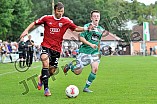 01.07.2012 - VfB Eichstätt / FC Ingolstadt