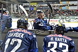 Augsburger Panther vs ERC Ingolstadt, Eishockey, DEL, Deutsche Eishockey Liga, 11.12.2015