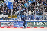 Eishockey, Herren, DEL, Saison 2024-2025, Spieltag 17, ERC Ingolstadt - Adler Mannheim, 17.11.2024