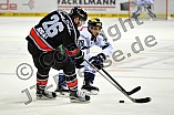 Thomas Sabo Ice Tigers vs ERC Ingolstadt, Eishockey, DEL, Deutsche Eishockey Liga, 13.12.2015